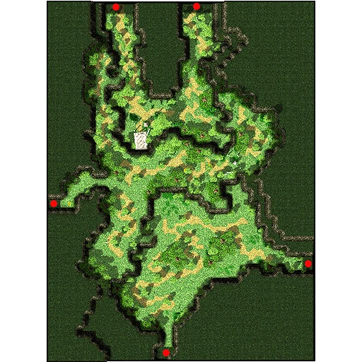Payon Forest 2