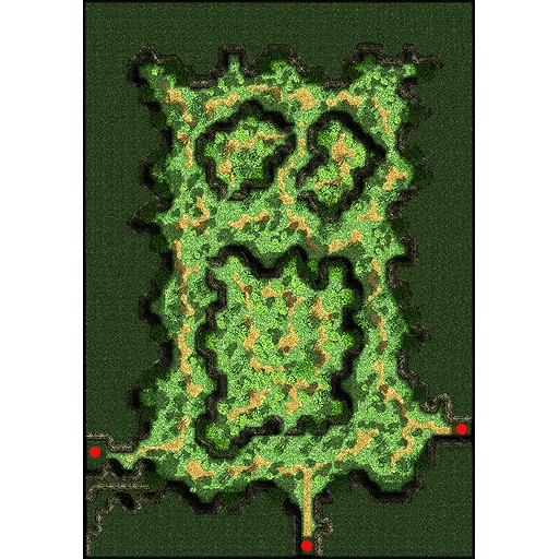 Payon Forest 8