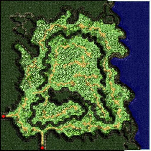 Payon Forest 9