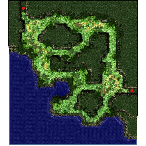 Payon Forest 11