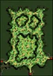 Payon Forest 8