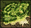 Prontera Field 10