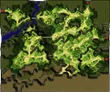 Prontera Field 11